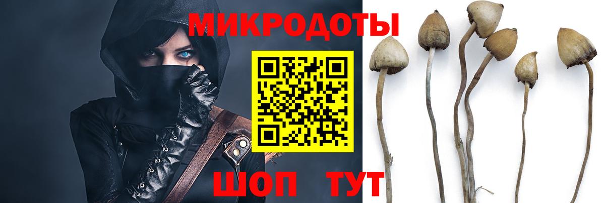 Псилоцибиновые грибы мухоморы  Вход с VPN  Тайшет  Галлюциногенные грибы MAGIC MUSHROOMS 